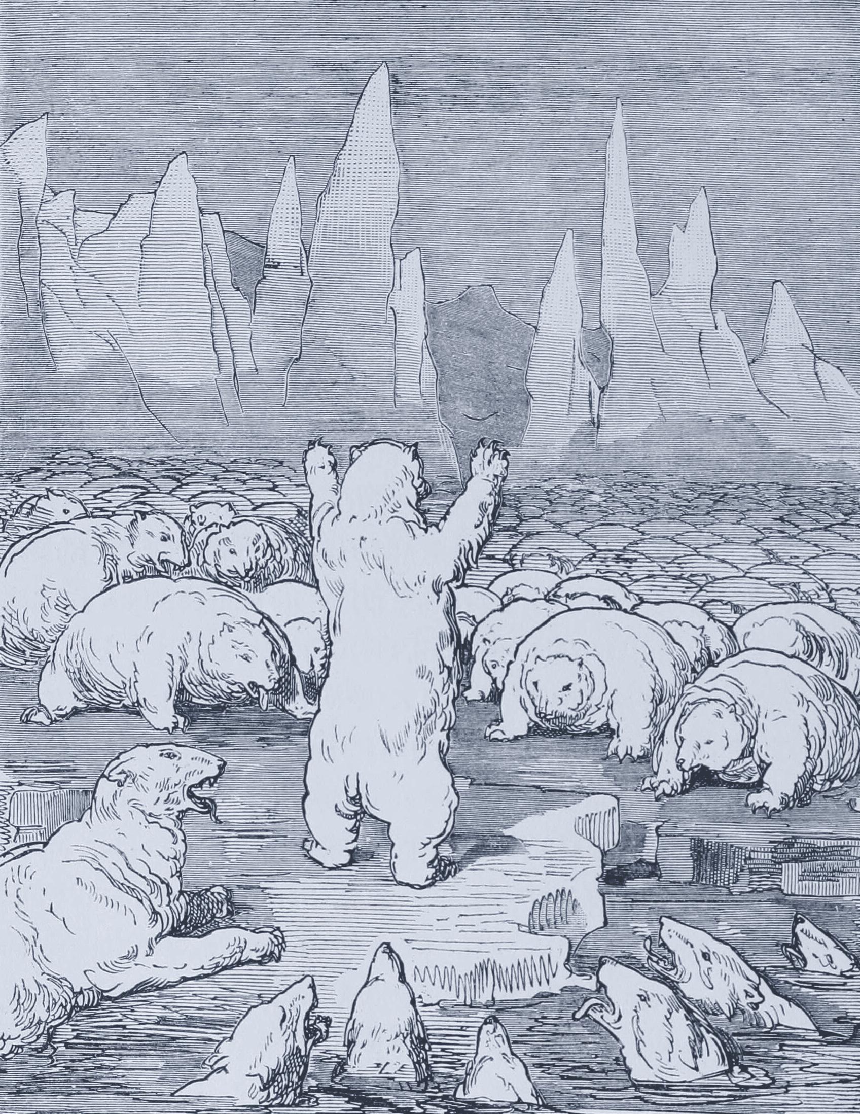 Gustave Doré engraving of Brother Bruin the bear — a creature of a definite kind